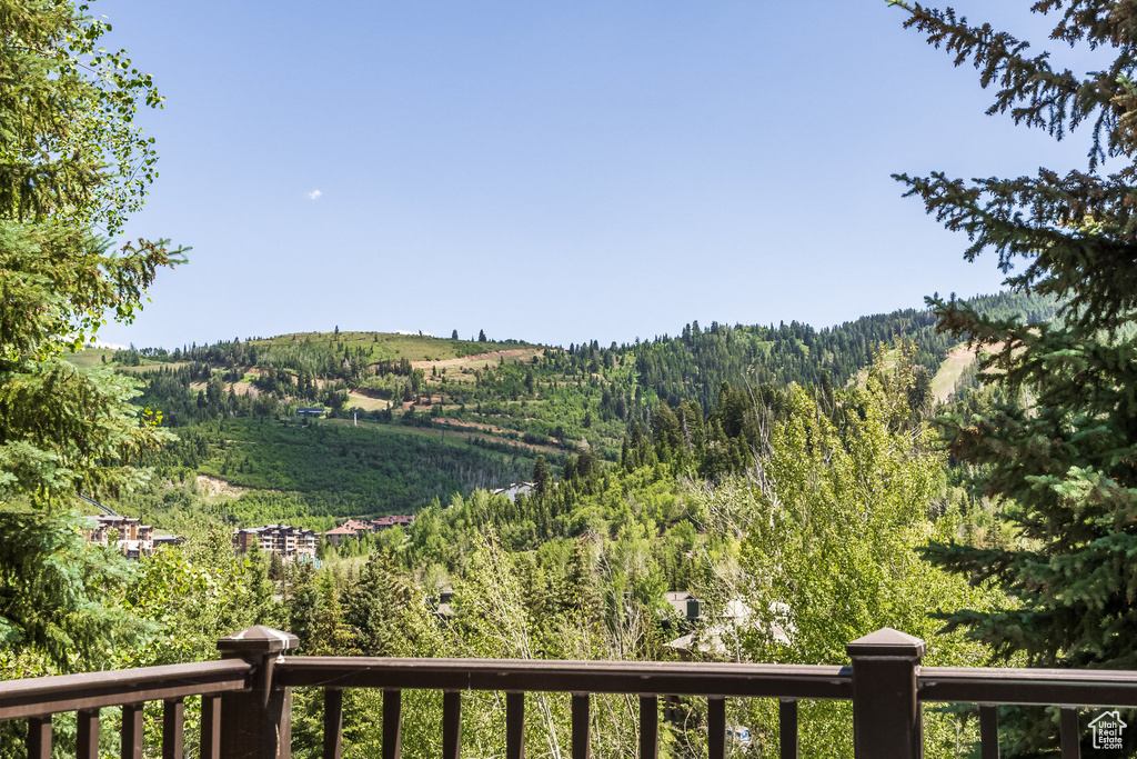 View of mountain background with a heavily wooded area