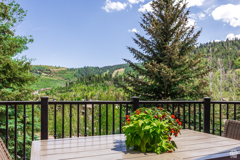 Wooden deck with a forest view