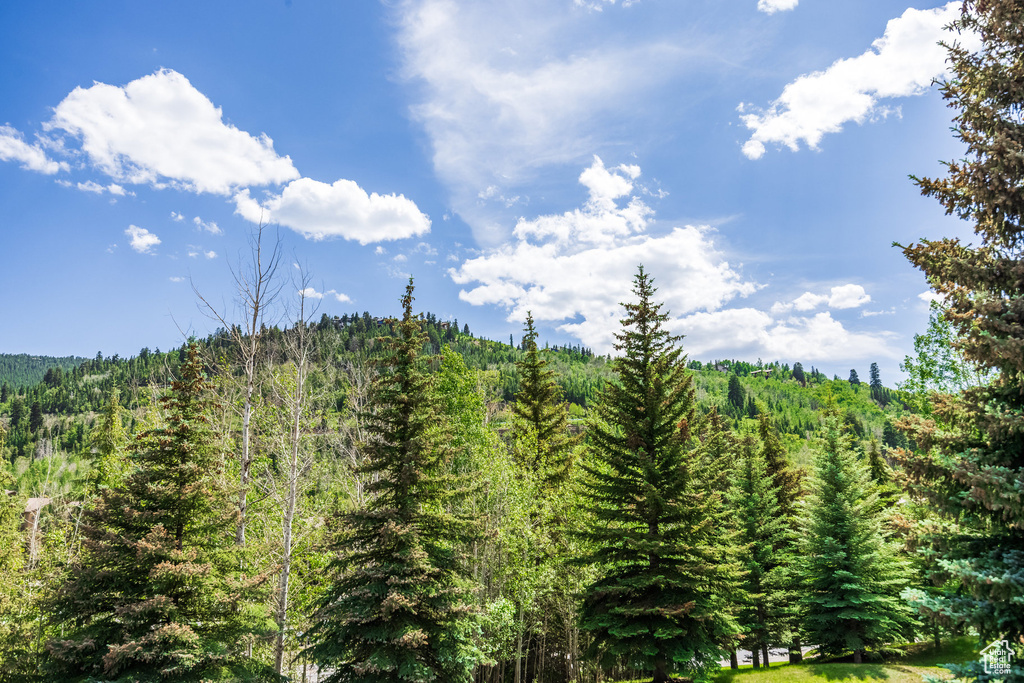 View of wooded area