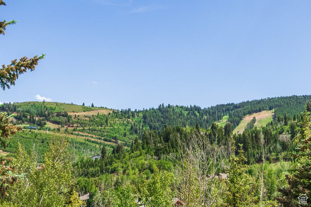 View of mountain background with a heavily wooded area