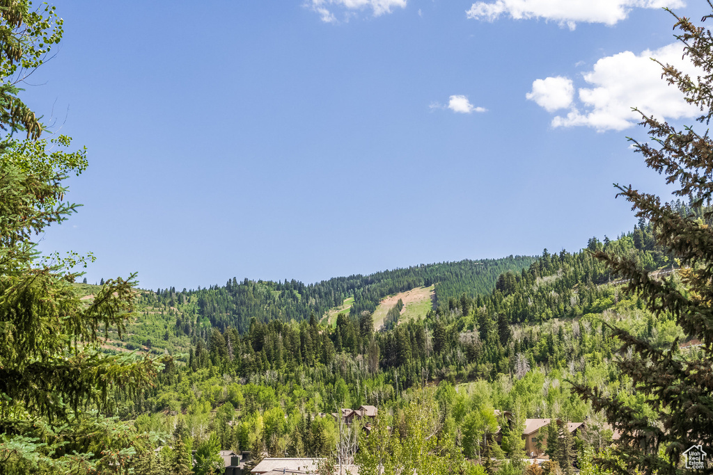 Mountain view with a forest
