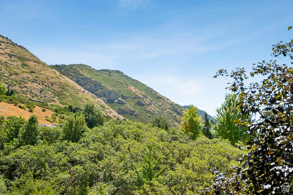 4307 CHURCHILL DR #97 Provo, UT 84604