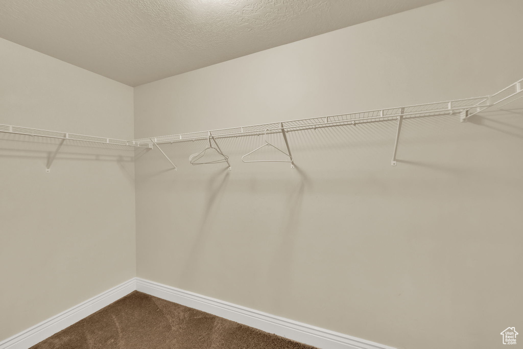 Walk in closet featuring dark colored carpet