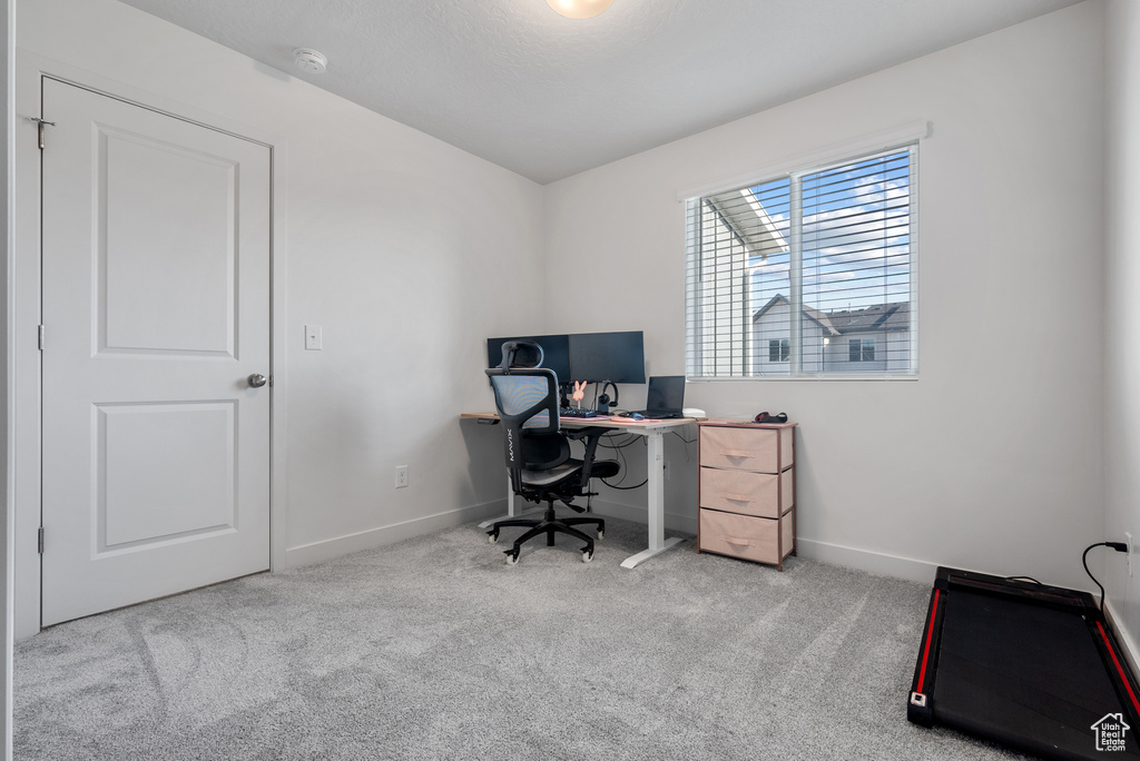 Carpeted home office with baseboards