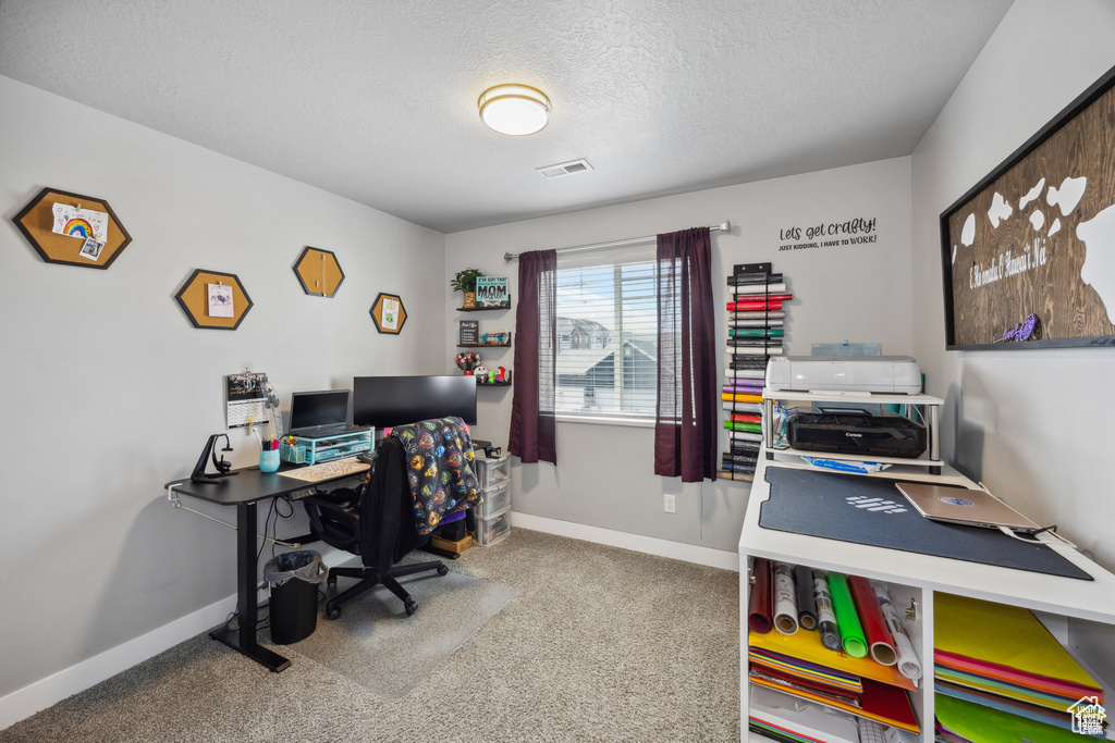 Office with a textured ceiling and carpet floors