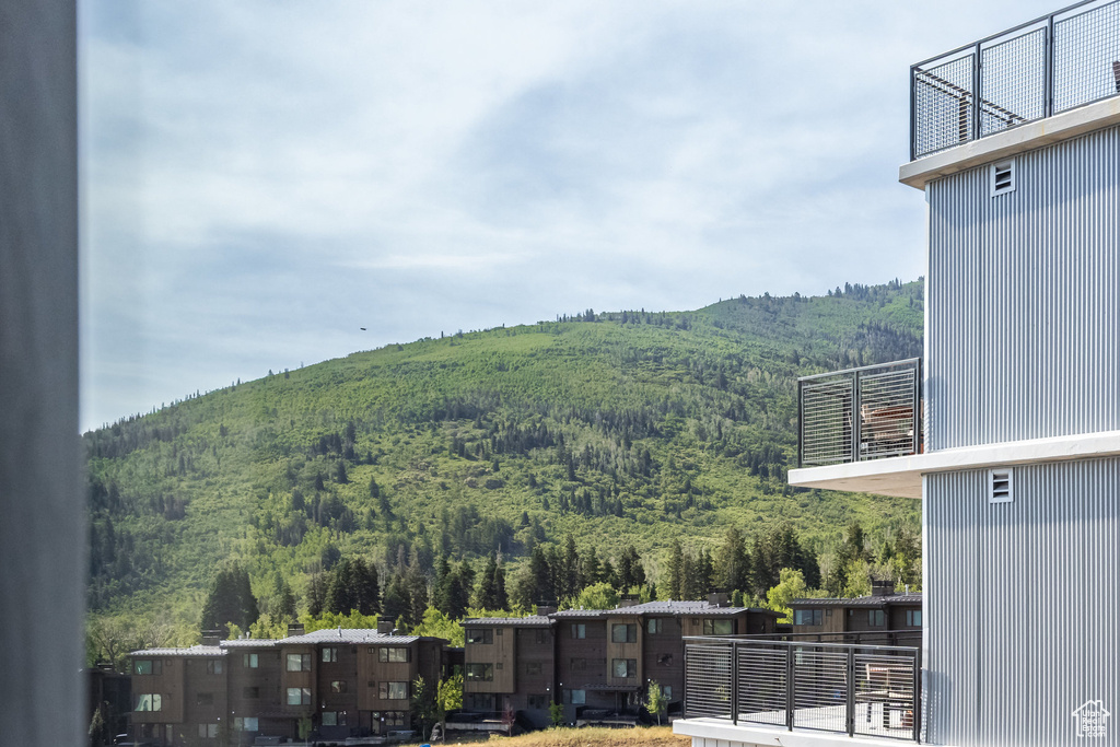 Mountain view featuring a heavily wooded area