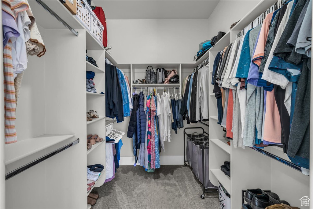 Spacious closet with carpet floors