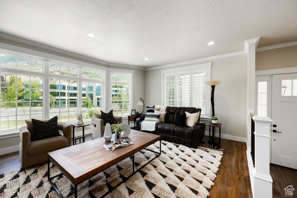 Living area with ornamental molding, wood finished floors, recessed lighting, and a textured ceiling