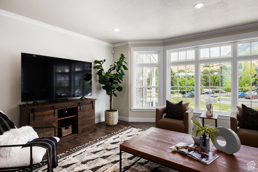 Living area featuring wood finished floors, ornamental molding, healthy amount of natural light, recessed lighting, and a textured ceiling