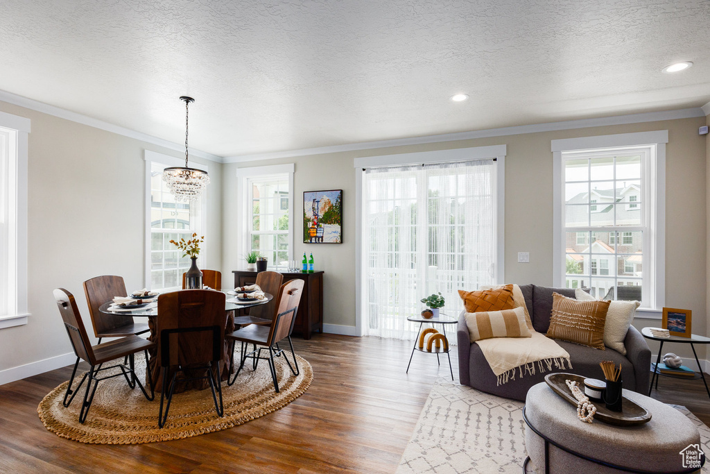 Dining space featuring a chandelier, wood finished floors, healthy amount of natural light, ornamental molding, and a textured ceiling