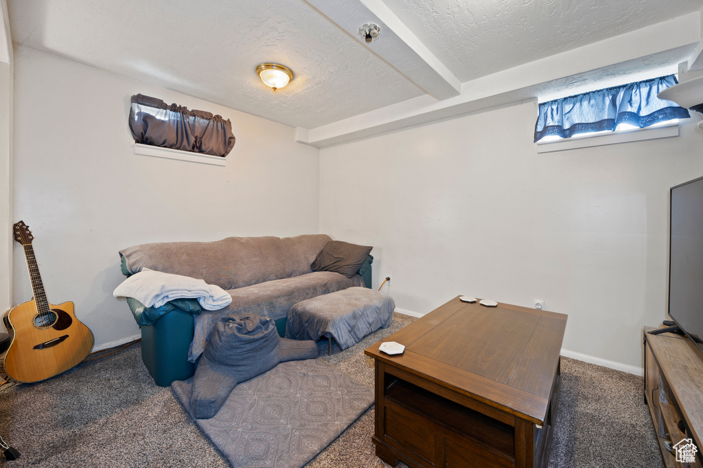 Carpeted living room featuring baseboards and a textured ceiling