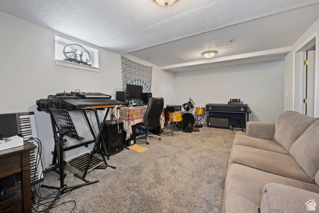 Carpeted home office with a textured ceiling