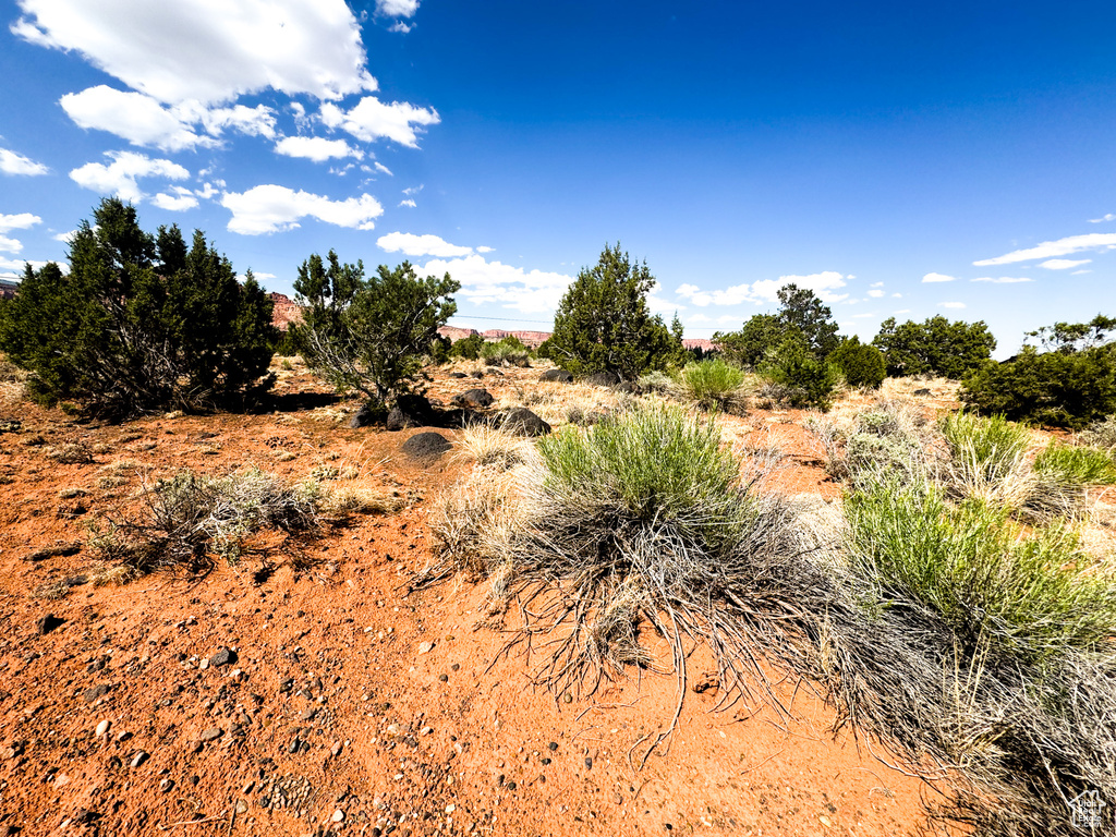  Torrey, UT 84775