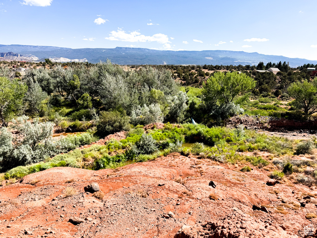  Torrey, UT 84775