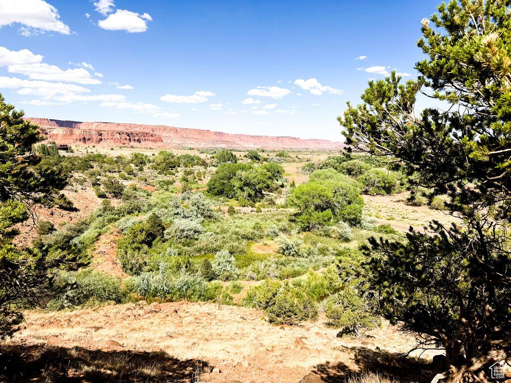  Torrey, UT 84775