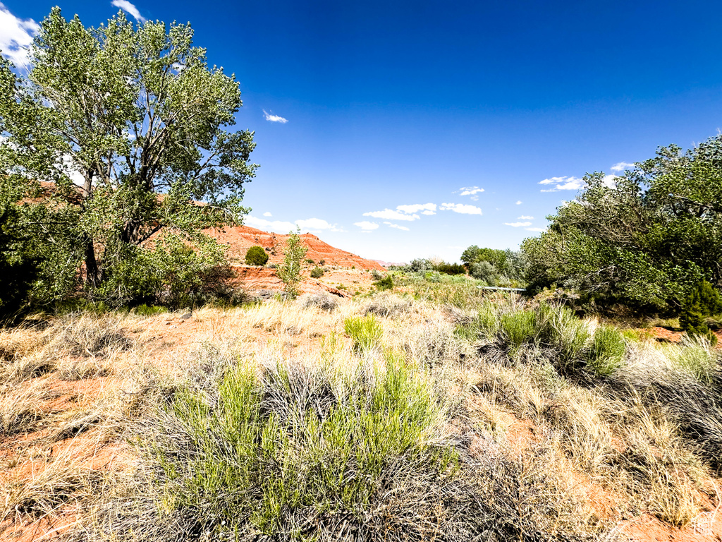  Torrey, UT 84775