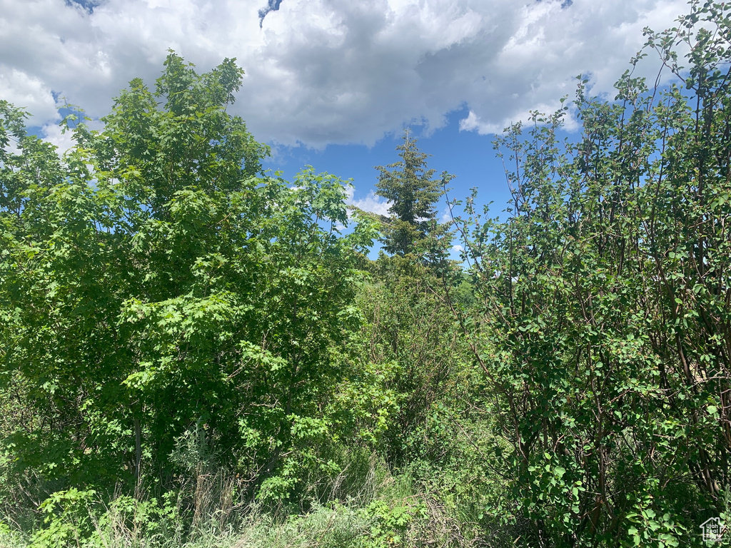 516  COLD SPRINGS DR Fish Haven, ID 83287
