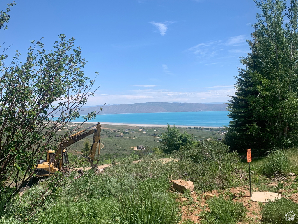516  COLD SPRINGS DR Fish Haven, ID 83287