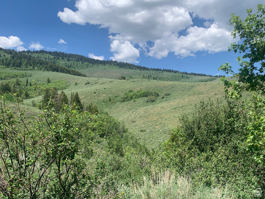 516  COLD SPRINGS DR Fish Haven, ID 83287