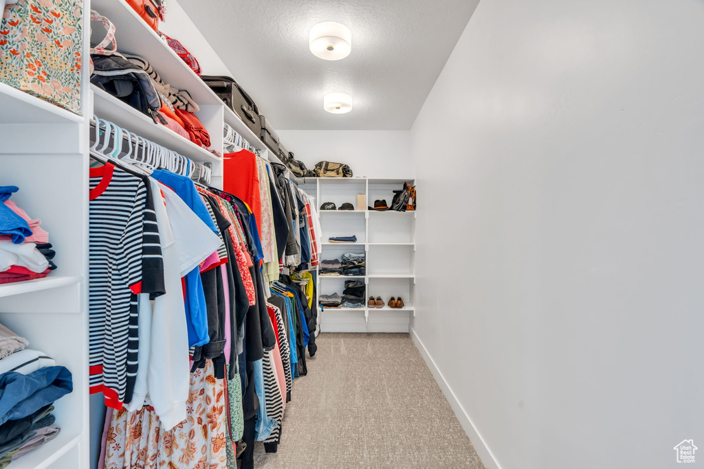 Walk in closet featuring carpet