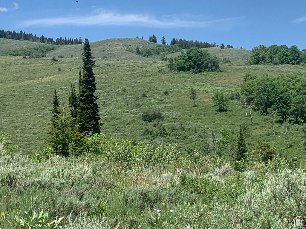 490  COLD SPRINGS DR Fish Haven, ID 83287