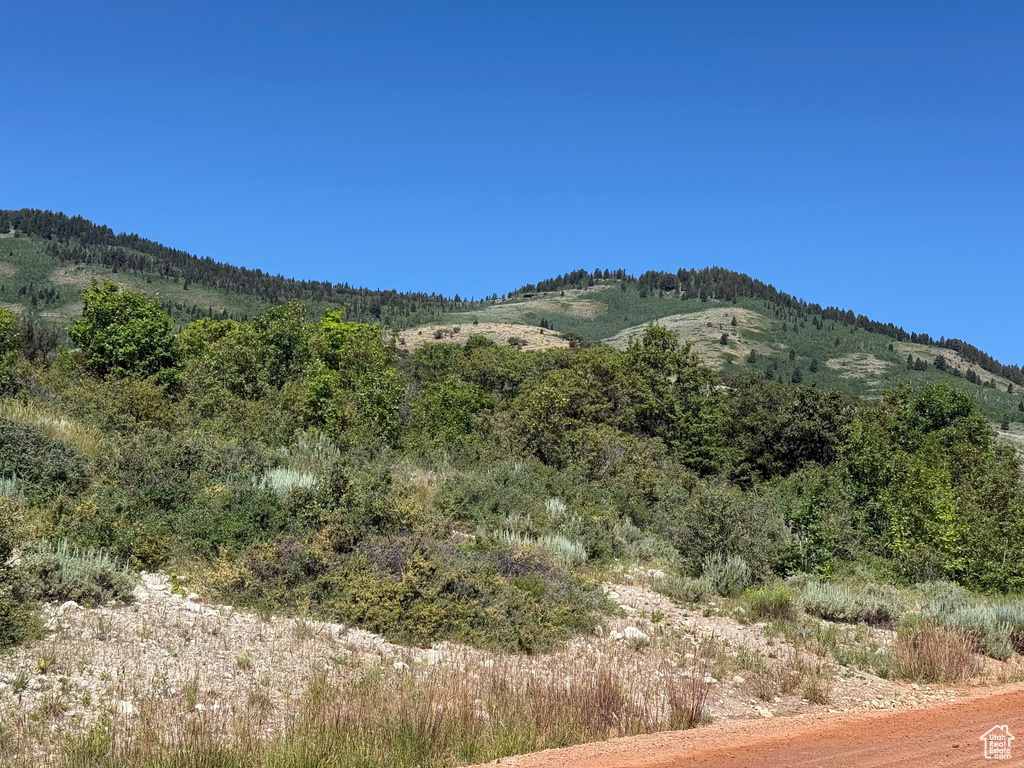 128  CALAMITY DR Fish Haven, ID 83287