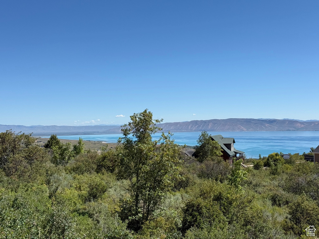 128  CALAMITY DR Fish Haven, ID 83287