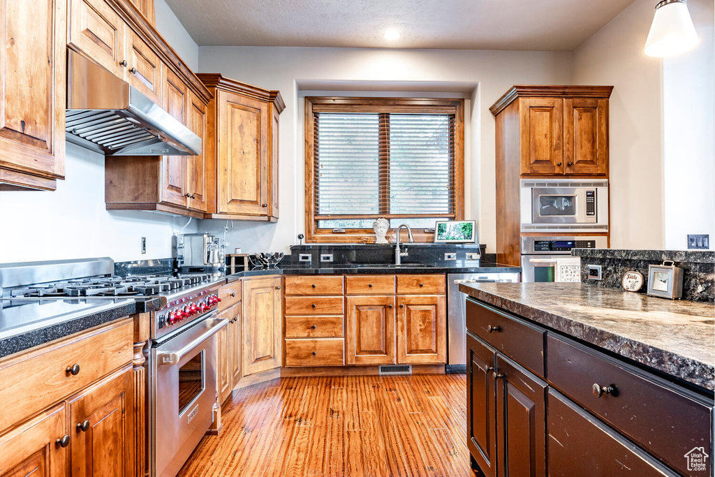 Kitchen featuring appliances with stainless steel finishes, under cabinet range hood, light wood-type flooring, and recessed lighting