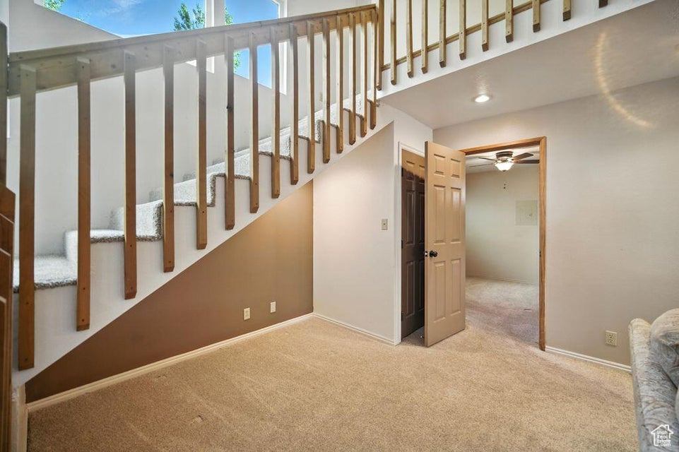 Staircase with carpet flooring and ceiling fan