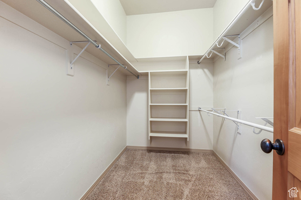 Spacious closet with carpet floors