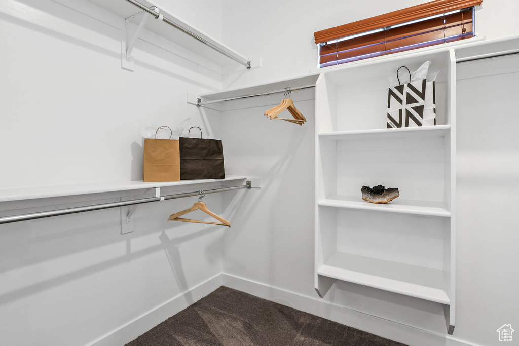 Spacious closet with dark colored carpet