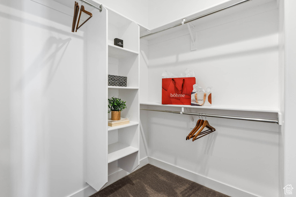 Walk in closet featuring dark carpet