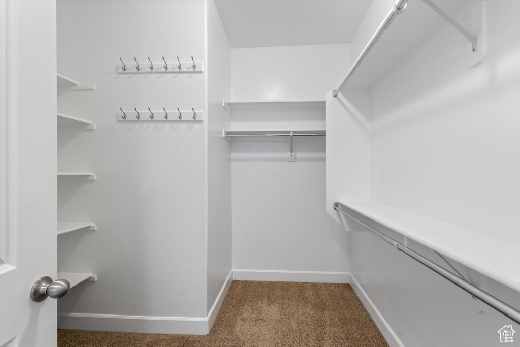 Walk in closet featuring carpet