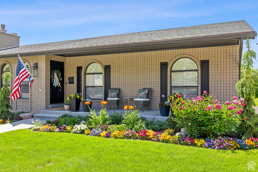 Doorway to property with a porch, a lawn, and a shingled roof