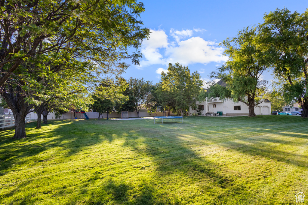 View of green lawn featuring a trampoline
