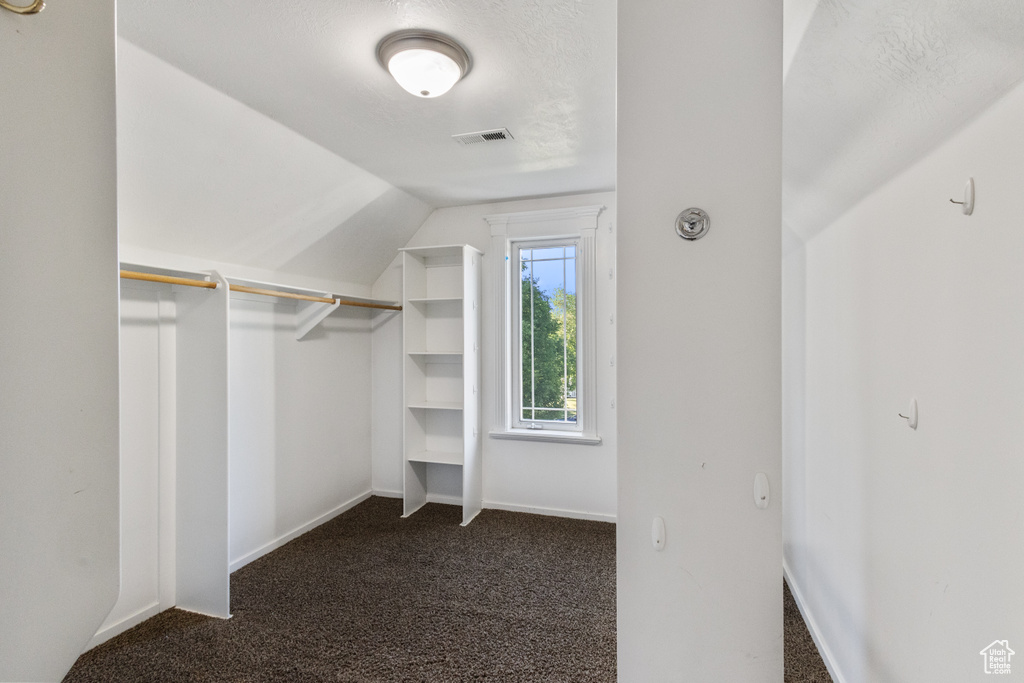 Walk in closet with carpet floors and vaulted ceiling