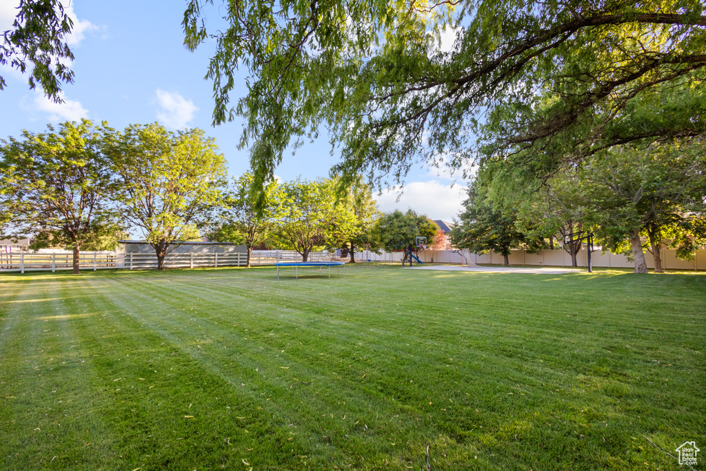 Fenced backyard with a trampoline