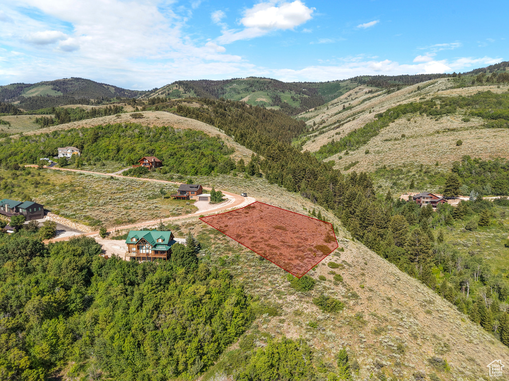 Drone / aerial view of a mountain backdrop