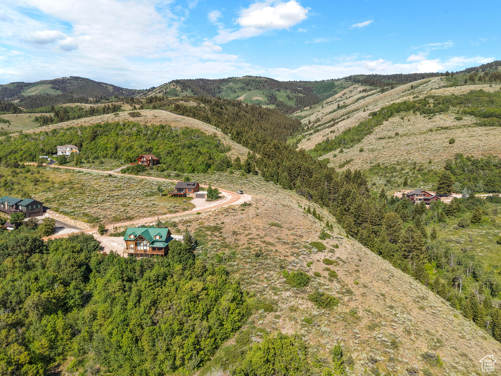 Drone / aerial view of mountains
