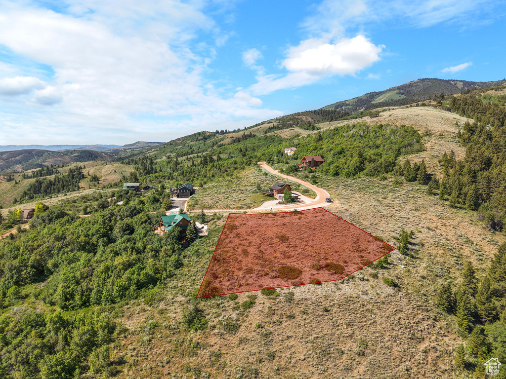 Bird's eye view of a mountain backdrop