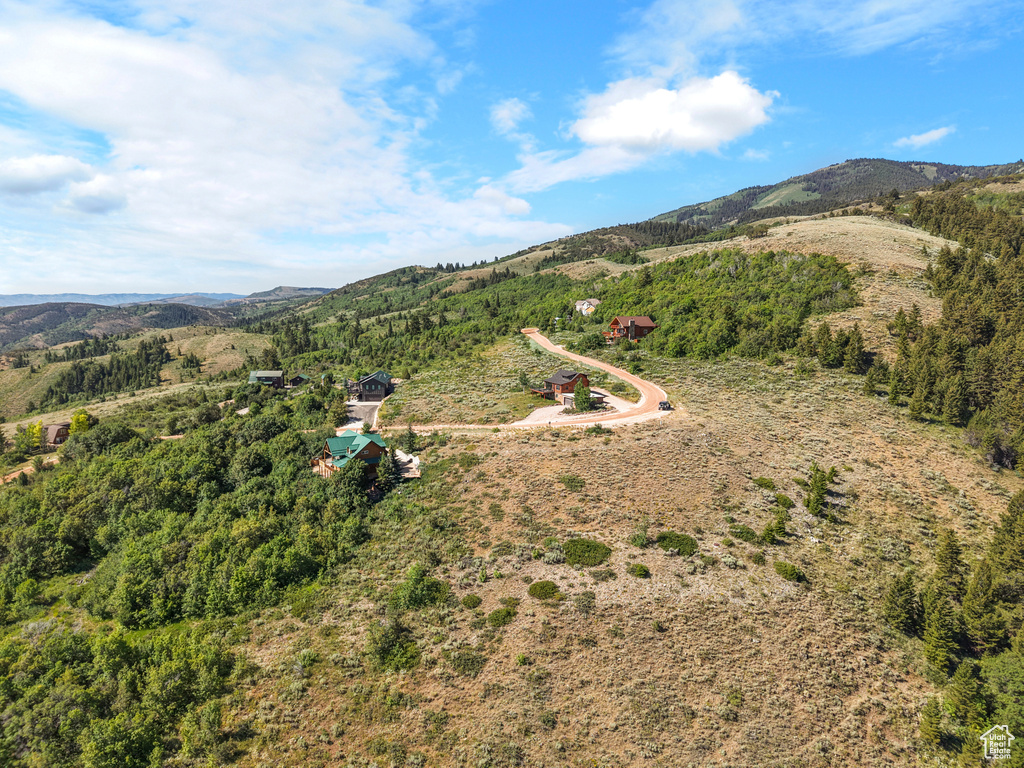 Drone / aerial view of a mountain backdrop