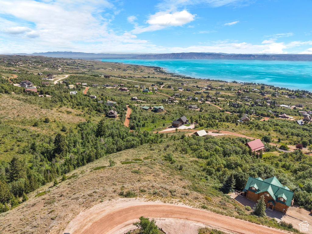 Aerial view of a water and mountain view