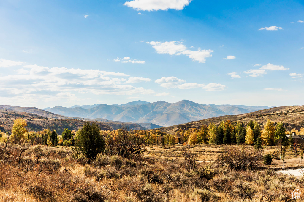 Mountain view
