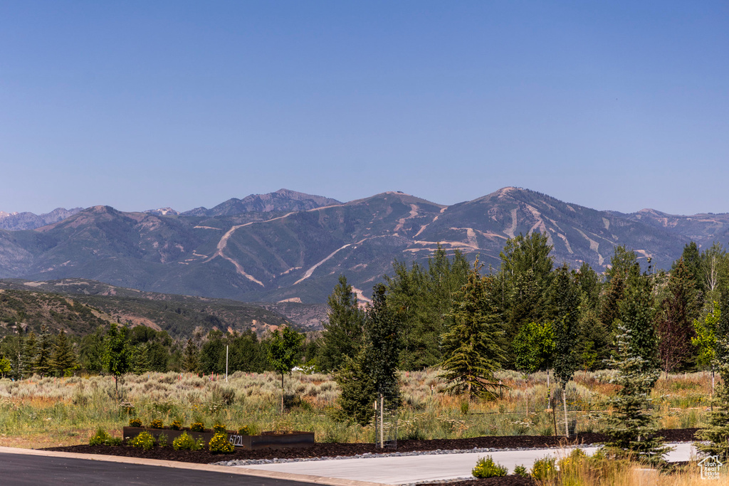 View of mountain backdrop