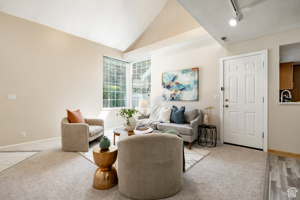 Living area featuring light colored carpet, high vaulted ceiling, and a textured ceiling