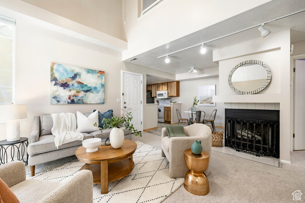 Living room with track lighting, light colored carpet, and a fireplace