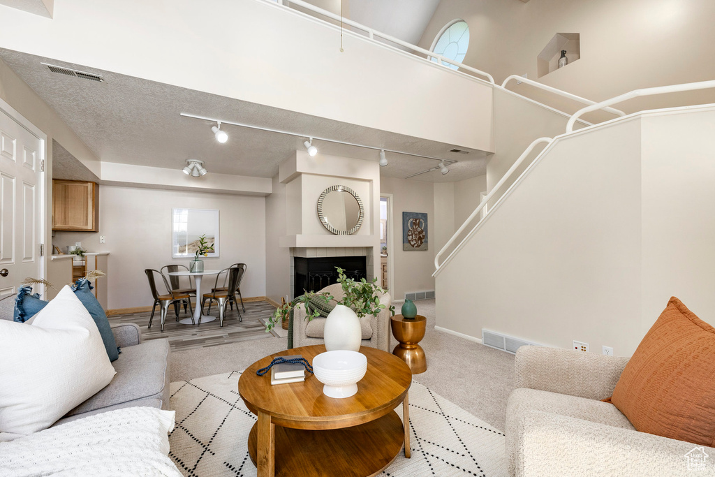Living area with light colored carpet, a fireplace, and rail lighting