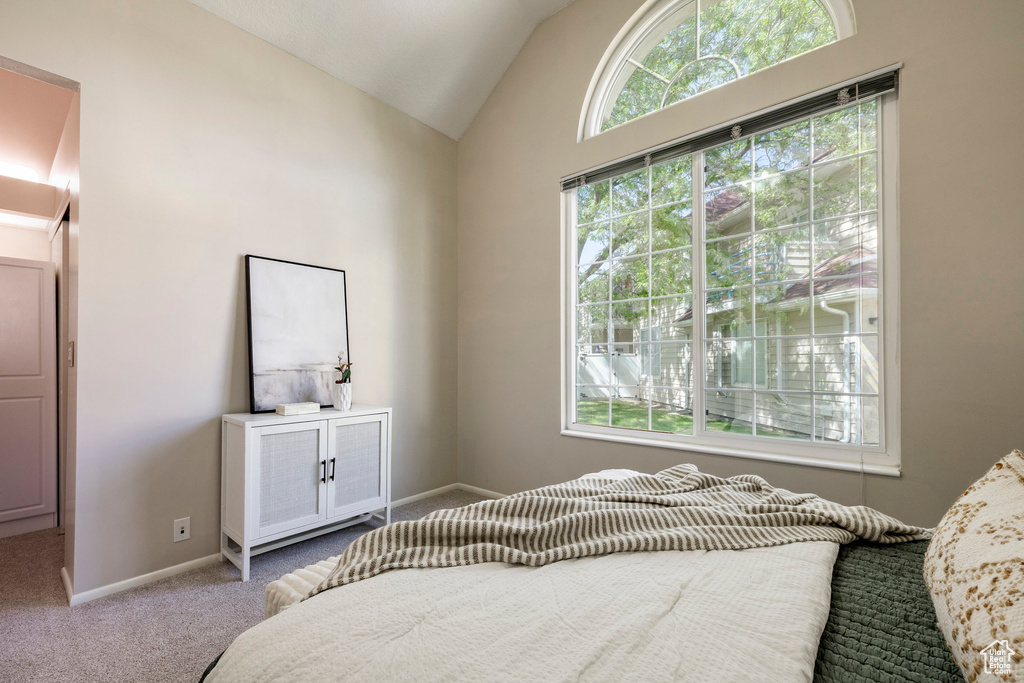 Bedroom featuring lofted ceiling and carpet floors