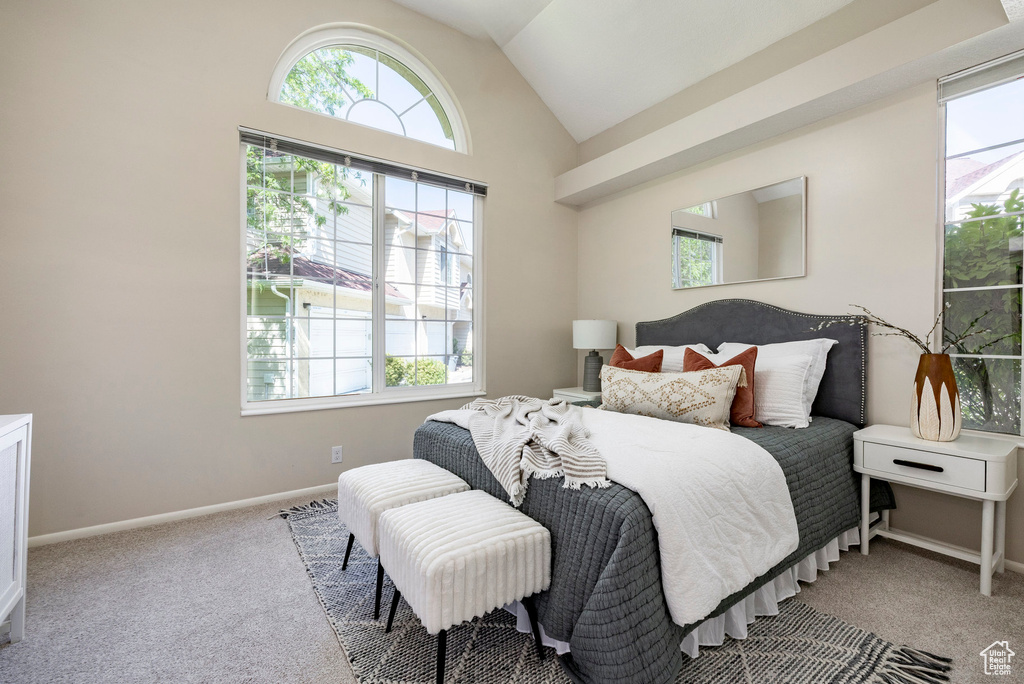 Bedroom featuring multiple windows, carpet floors, and vaulted ceiling