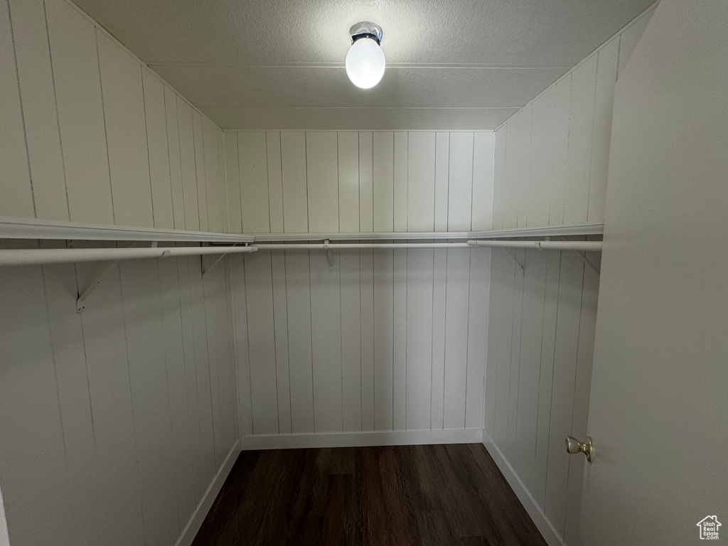 Spacious closet featuring dark wood finished floors